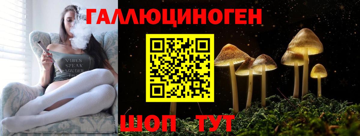 Курган  Галлюциногенные грибы Psilocybe  Вход с VPN 